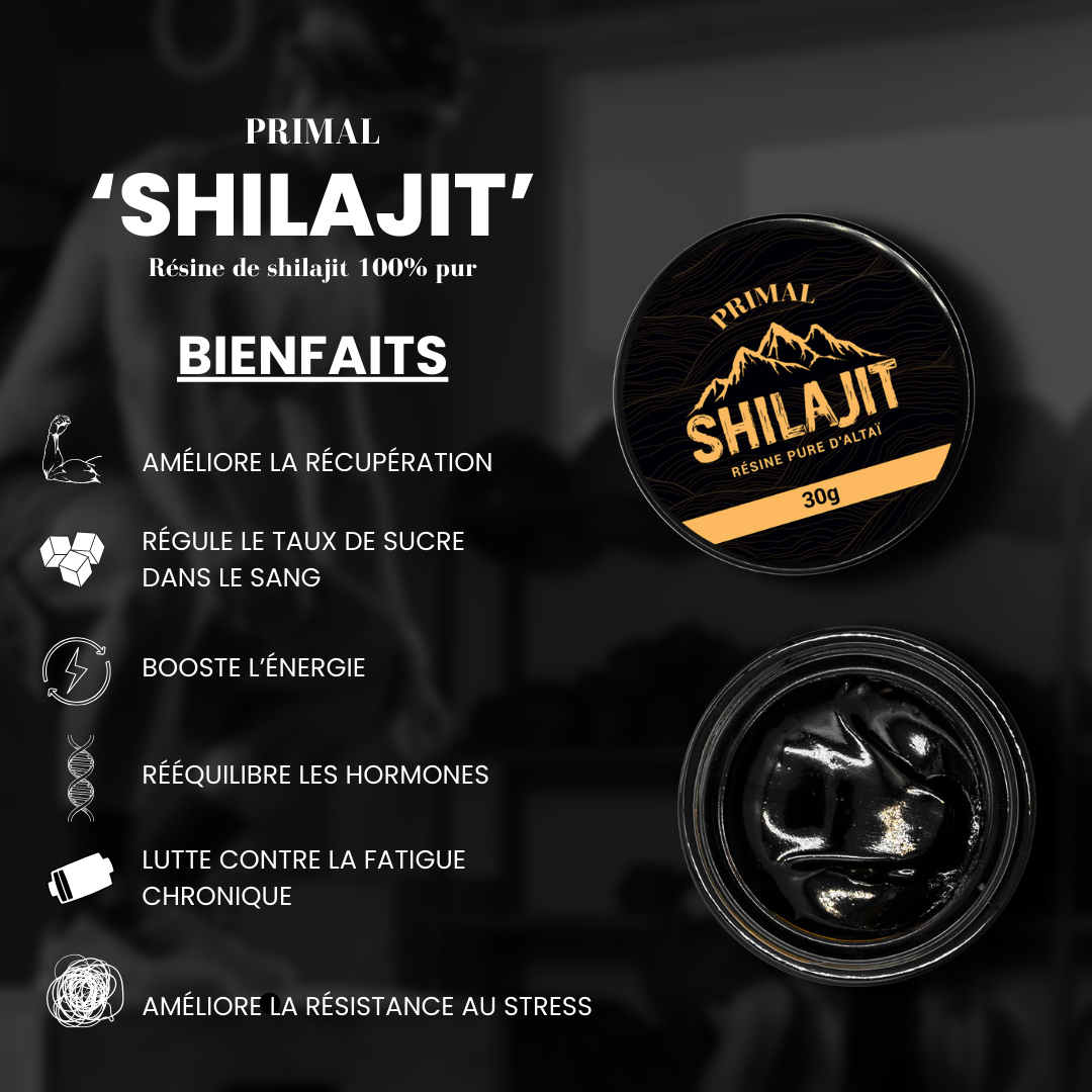 Shilajit : La Source de Vitalité Naturelle ⛰️ - Image 3